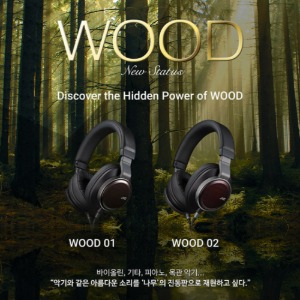 [JVC] 제이브이씨 HA-SW01 CLASS-S WOOD 시리즈 프리미엄 헤드폰